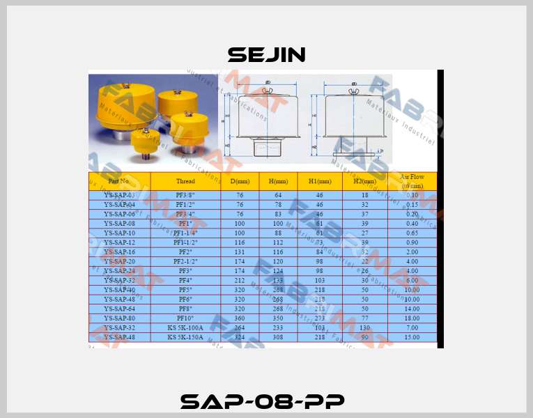 SAP-08-PP  Sejin