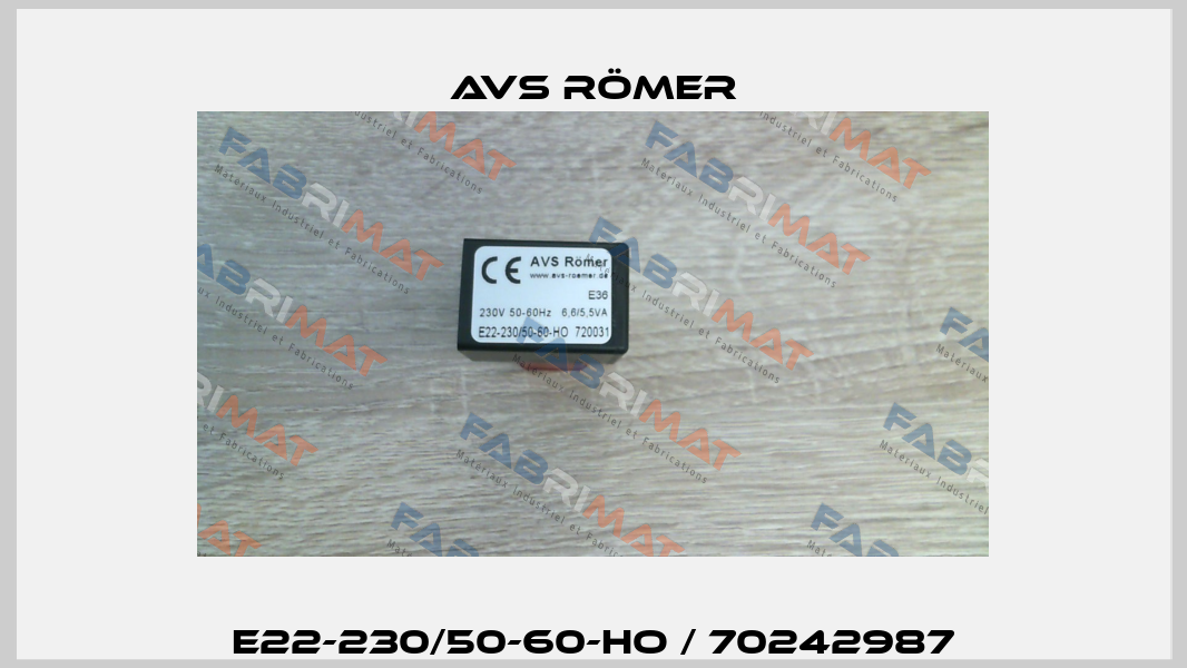E22-230/50-60-HO / 70242987 Avs Römer