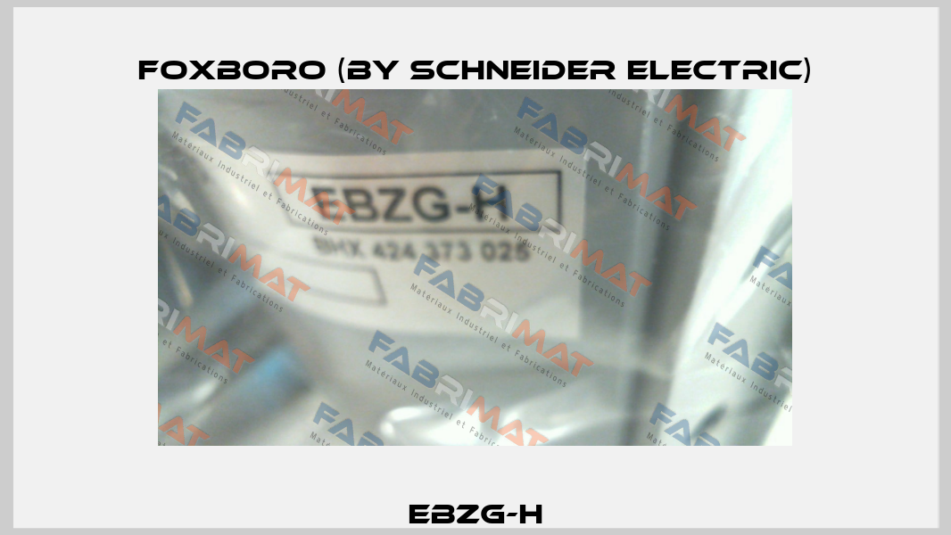 EBZG-H Foxboro (by Schneider Electric)