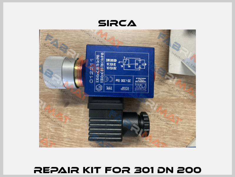 Repair kit for 301 DN 200 Sirca