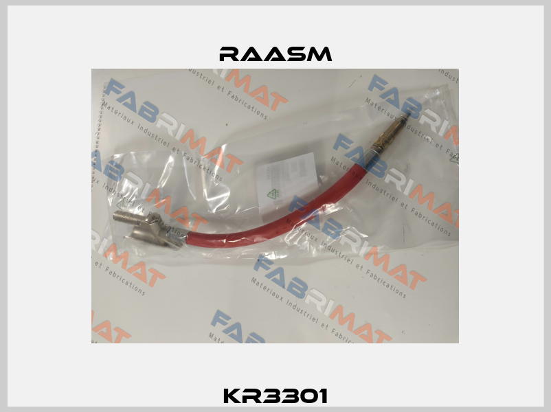KR3301 Raasm