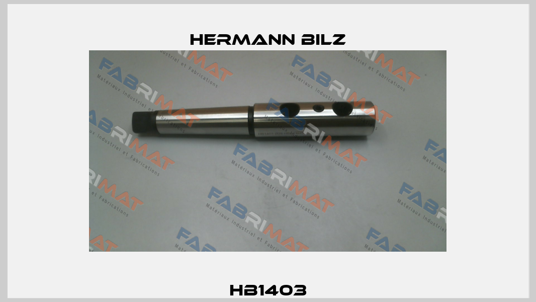 HB1403 Hermann Bilz
