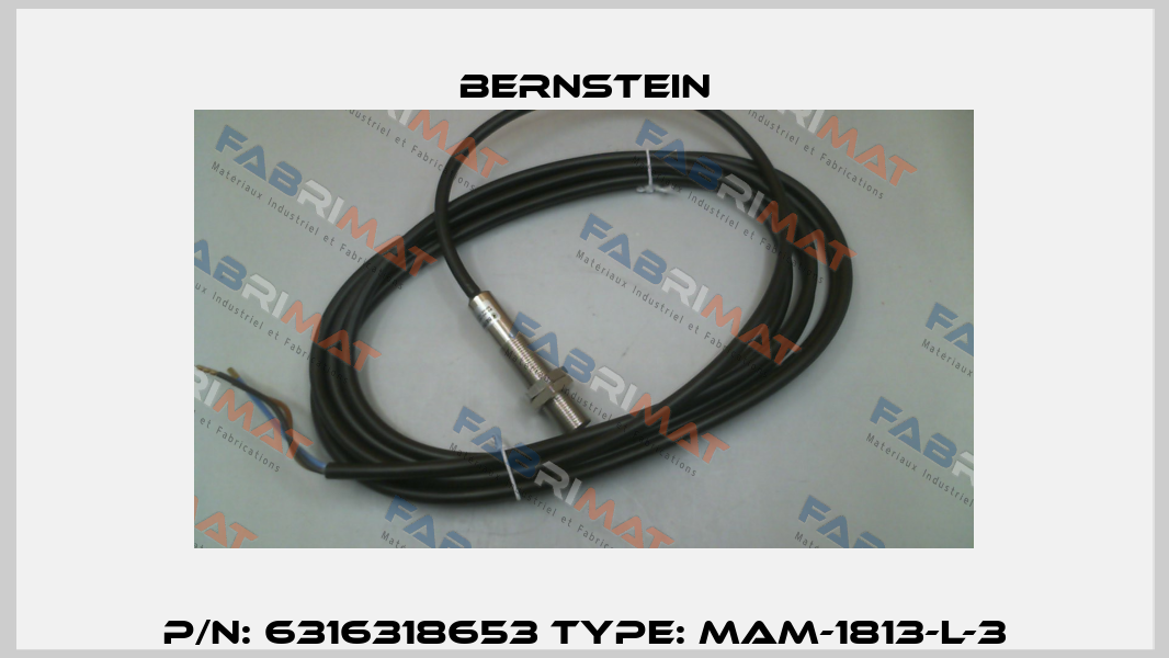 P/N: 6316318653 Type: MAM-1813-L-3 Bernstein