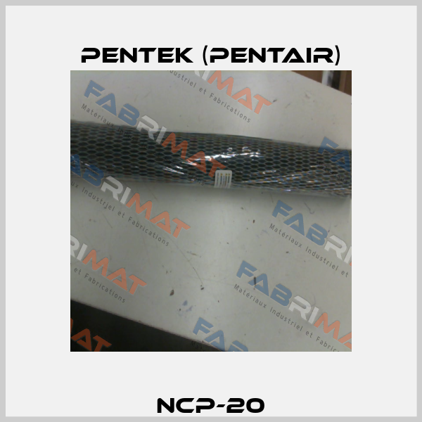 NCP-20 Pentek (Pentair)