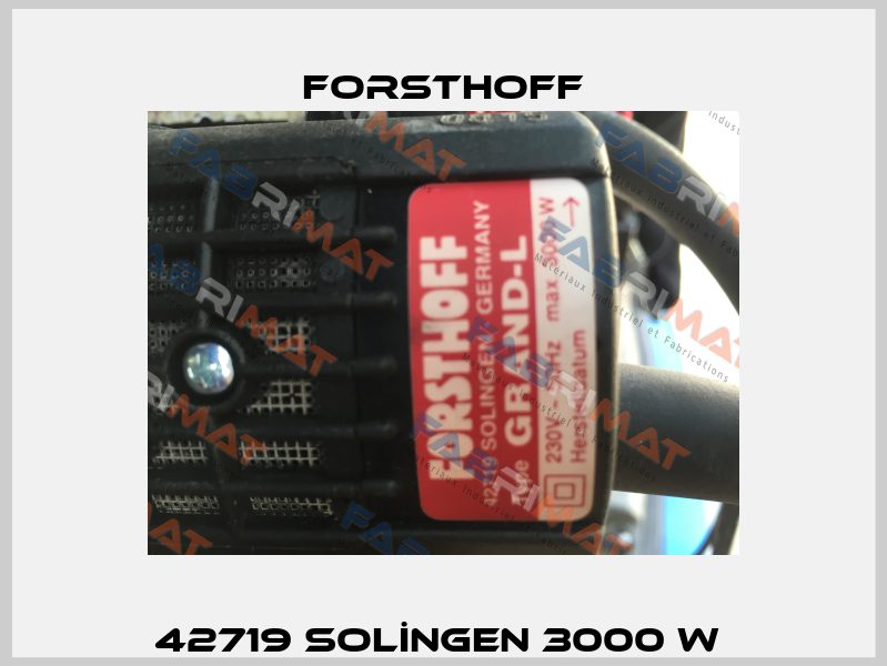 42719 SOLİNGEN 3000 W  Forsthoff