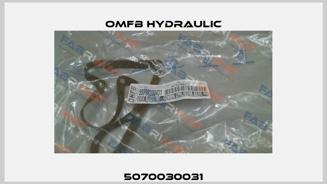 5070030031 OMFB Hydraulic