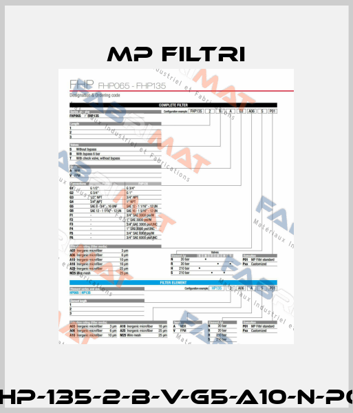 FHP-135-2-B-V-G5-A10-N-P01 MP Filtri