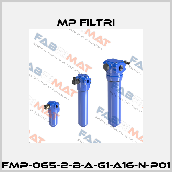 FMP-065-2-B-A-G1-A16-N-P01 MP Filtri