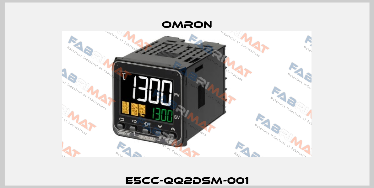E5CC-QQ2DSM-001 Omron