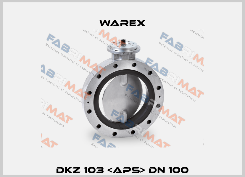 DKZ 103 <APS> DN 100 Warex