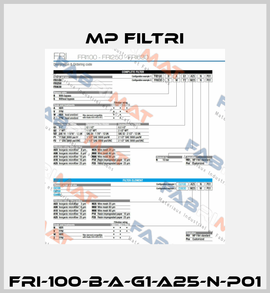 FRI-100-B-A-G1-A25-N-P01 MP Filtri
