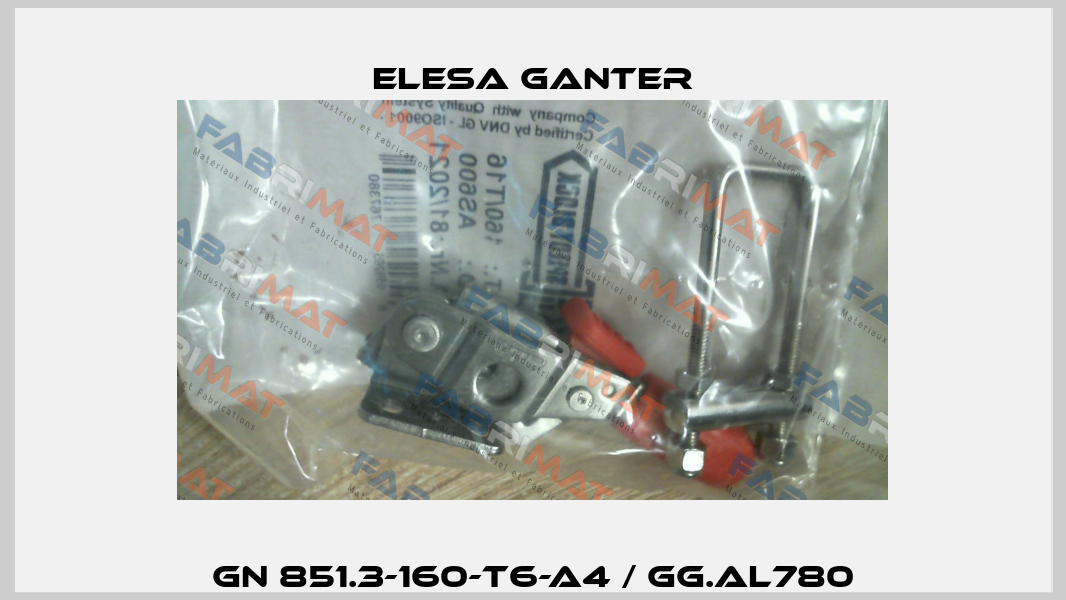 GN 851.3-160-T6-A4 / GG.AL780 Elesa Ganter