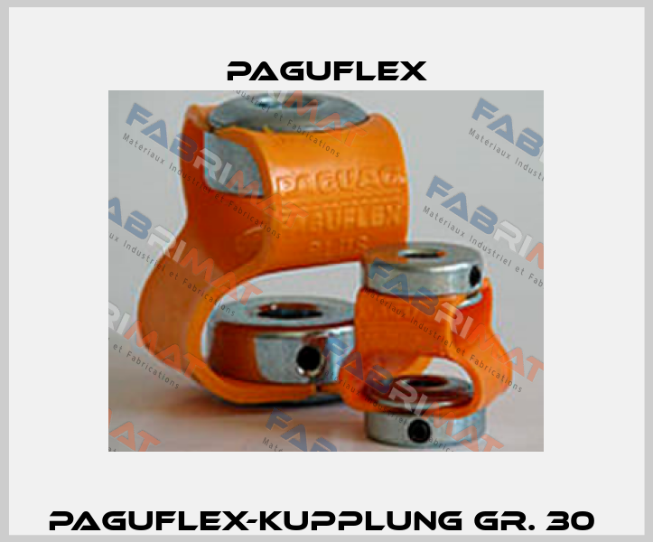 Paguflex-Kupplung Gr. 30  Paguflex