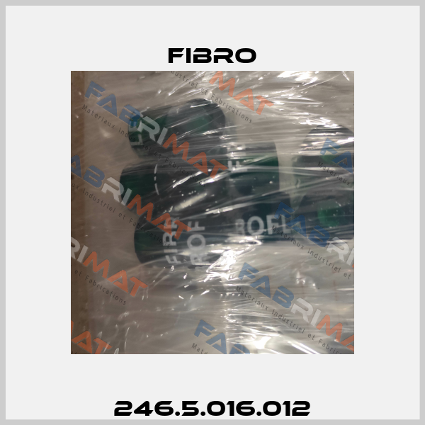 246.5.016.012 Fibro